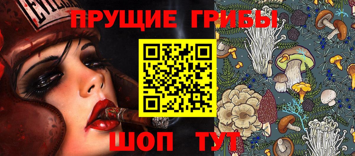 Псилоцибиновые грибы Magic Shrooms  наркота  Алапаевск  Вход с VPN 